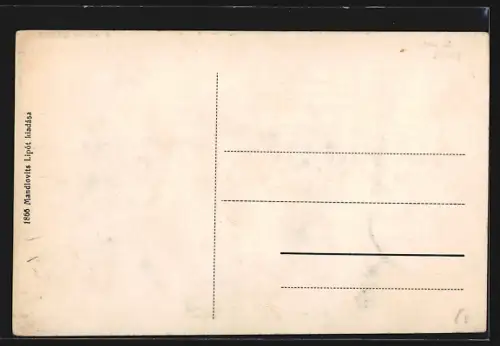 AK Huszt, A város látképe