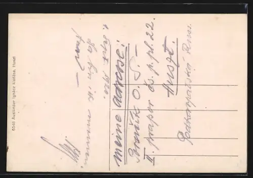 AK Huszt, A város látképe