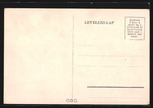 AK Huszt, Kormányzósági palota a várral