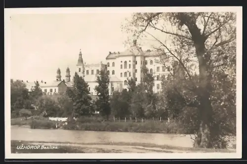 AK Uzhorod, Basilika