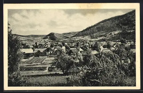 AK Volové, Ortsansicht aus der Vogelschau