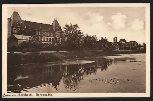AK Berehovo, Panorama mit Kirche