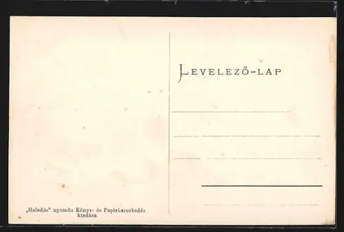 AK Beregszasz, Varmegyei setakert