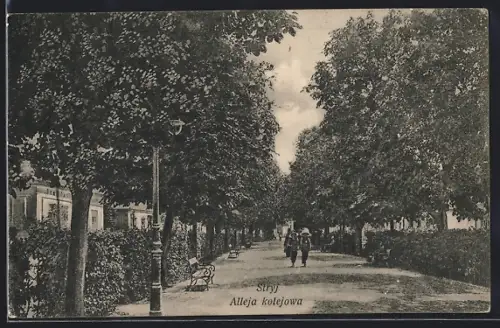 AK Stryj, Alleja kolejowa