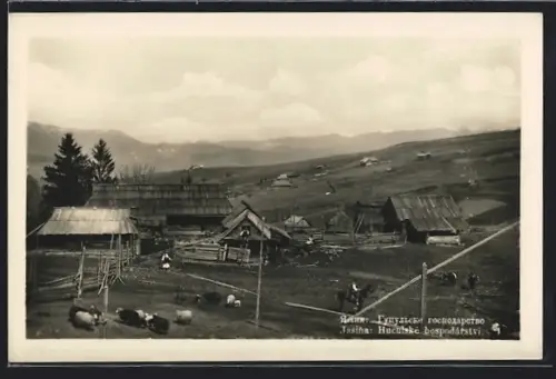 AK Jasina, Hucukske bospodarstvi