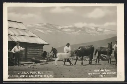 AK Jasina /Podk. Rus., Hucuksky domek pod Bliznici