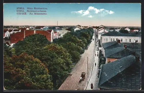 AK Stryj, Mickiewicz-Gasse aus der Vogelschau