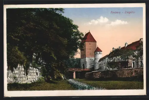 AK Amberg, Ziegeltor und alte Mauer