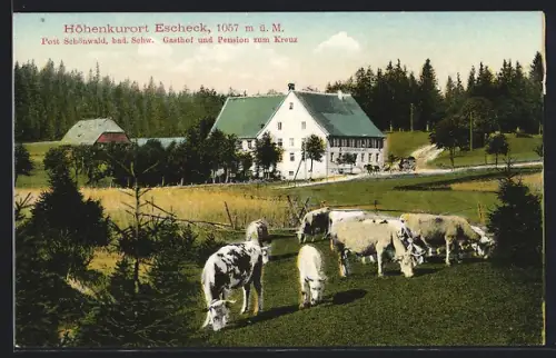 AK Escheck /Schönwald, Gasthof und Pension zum Kreuz, Weide mit Rindern