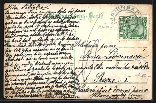 AK Marienbad, Blick von der Villa Waldidylle