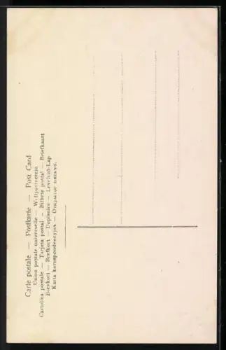 AK Büste Apollo von Belvedere