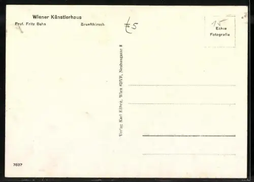 AK Wien, Röhrender Brunfthirsch