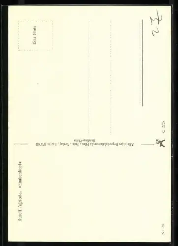 AK Knabenkopf, v. Rudolf Agricola