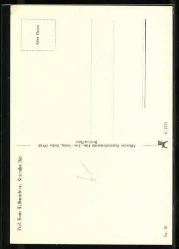 AK Plastik Sitzender Bär