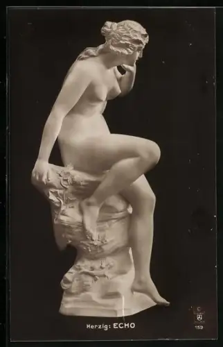 AK Echo, v. Herzig