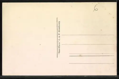 AK St. Raphael, Yachts dans le Port