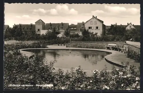 AK Edingen am Neckar, Gemeindepark mit Ortspanorama