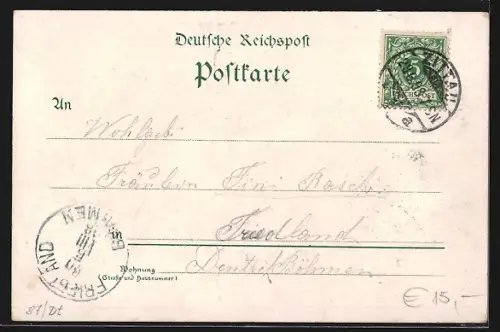 Lithographie Zittau, Panorama, Ruine mit Berg Oybin, Rathaus