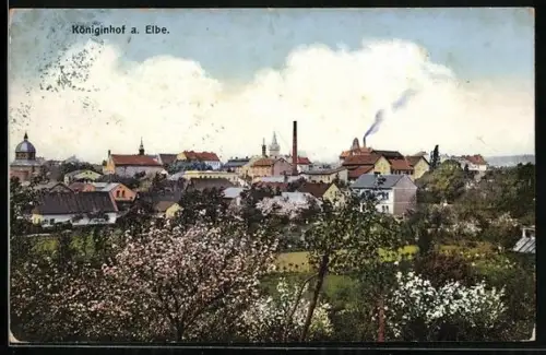 AK Dvur Králové n. Labem, Celkový pohled