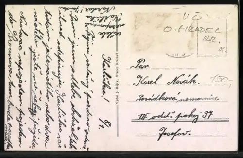 AK Hradec Kralove, Mestsky park