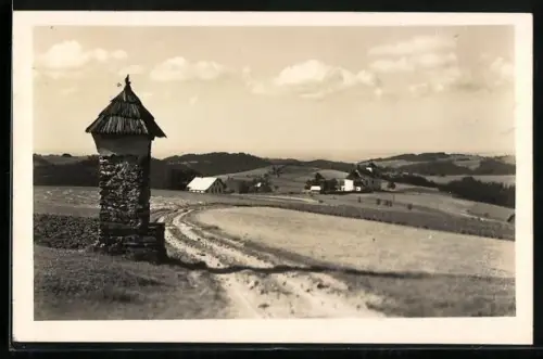 AK Tanndorf im Adlergebirge /Sudetengau, Panorama