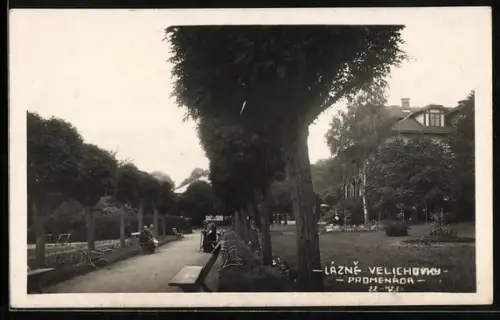 AK Lázne Velichovky, Promenada