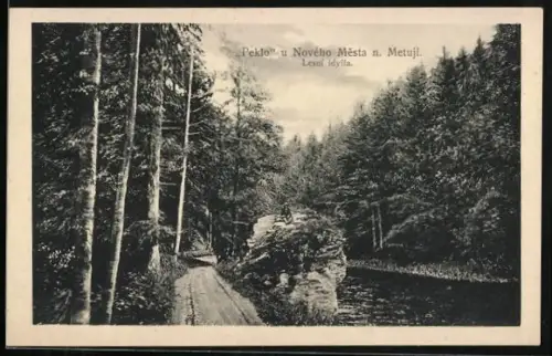 AK Nového Mesta n. Metuji, Peklo, Lesni idylla