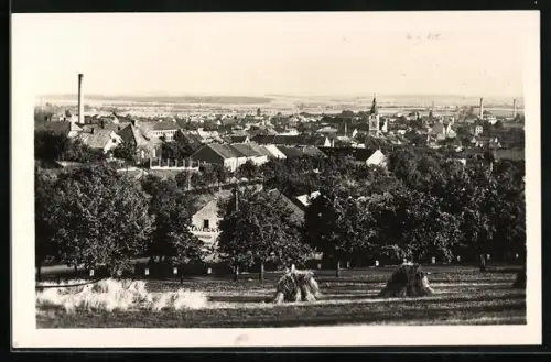 AK Horice, Horice v. Podkrkonosi