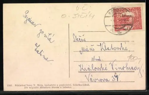 AK Sobotecko, Hrad Kost