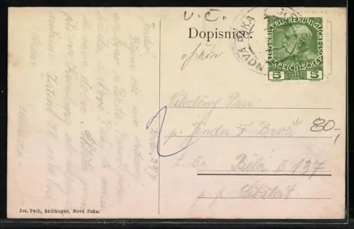 AK Nová Paka, Panorama