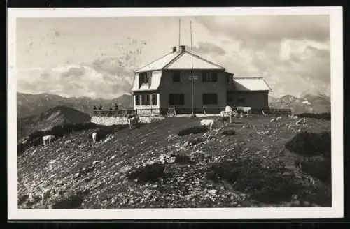 AK Terzerhaus /Gemeindealpe, Kühe vor der Berghütte