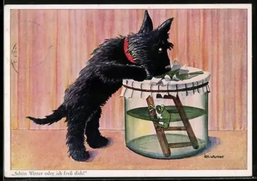 Künstler-AK sign. Walmont: Hund betrachtet den Wetterfrosch im Glas