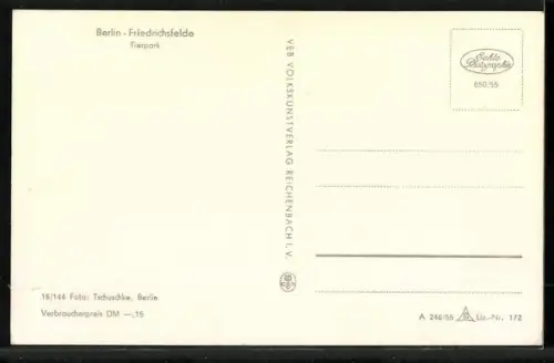 AK Berlin-Friedrichsfelde, Pelikane im Tierpark