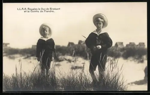 AK L.L.A.A. Royales le Duc de Brabant et le Comte de Flandre