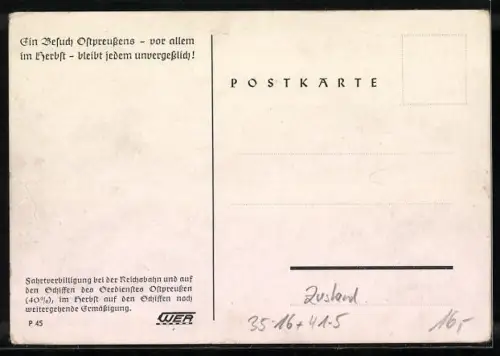 AK Passagierschiff Seedinst Ostpreussen an der Anlegestelle, Eisenbahn