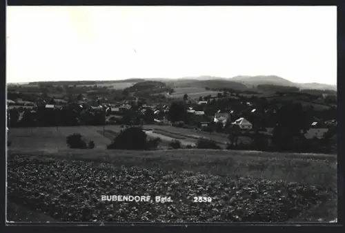 AK Bubendorf /Bgld., Gesamtansicht von einem Feld aus