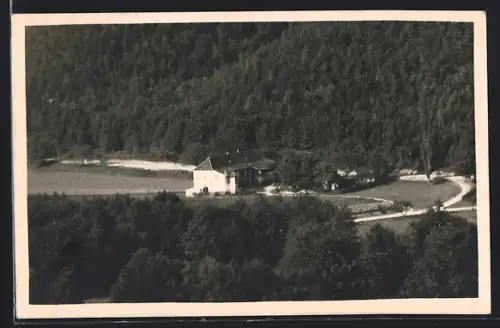 AK Steinbach /Bgld., Gasthaus zur Burgenländ. Grenze J. Stechmann mit Umgebung aus der Vogelschau