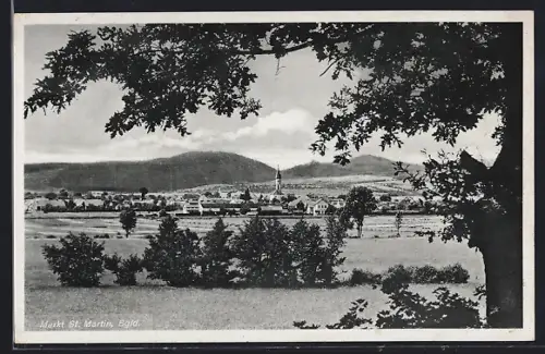 AK St. Martin /Bgld., Ortspanorama von einer Wiese aus
