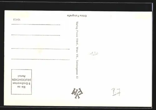 AK Markt St. Martin, Strassenpartie mit Gasthof Muschitz