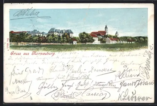 AK Korneuburg, Ortspanorama von einer Wiese aus