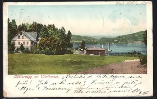 AK Maiernigg am Wörthersee, Blick auf den See