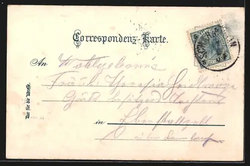 AK Gmunden, Totalansicht mit Seeblick im Winter