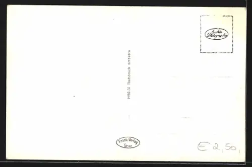 AK Göss bei Leoben, Ortsansicht mit Reiting, Wildfeld und Reichenstein