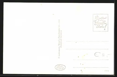 AK Weiz /Steiermark, Teilansicht mit Weizberg