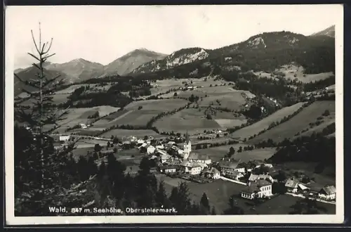 AK Wald /Obersteiermark, Ortsansicht aus der Vogelschau