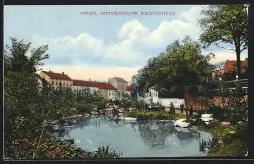 AK Erfurt, Karthäuserufer, Goldfischteich