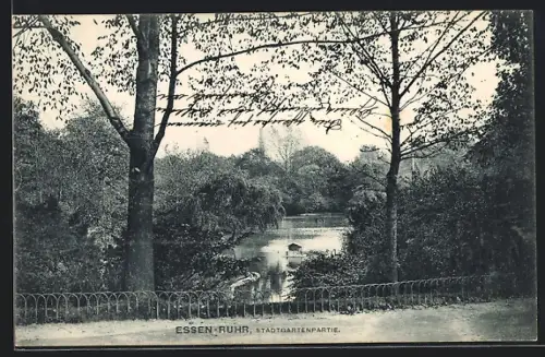AK Essen /Ruhr, Stadtgartenpartie