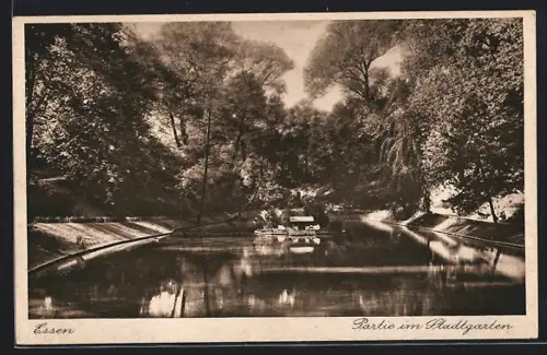 AK Essen, Partie im Stadtgarten
