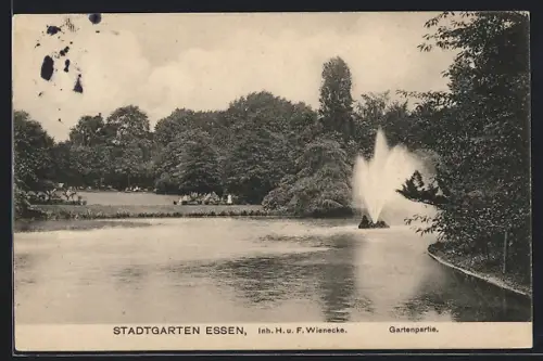 AK Essen, Stadtgarten, Gartenpartie, Inh. H. u. F. Wienecke