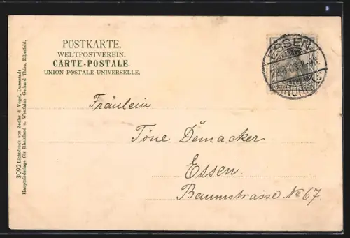 AK Essen a. d. Ruhr, Stadtgartenpartie